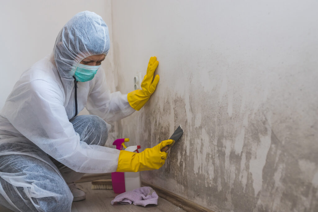 Mold Mitigation Service